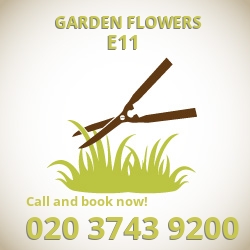 E11 easy care garden flowers Snaresbrook