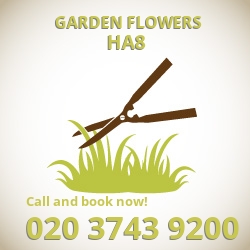 HA8 easy care garden flowers Edgware