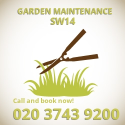 East Sheen garden lawn maintenance SW14