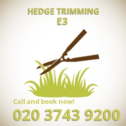 E3 hedge trimming Tower Hamlets