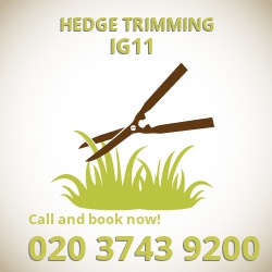 IG11 hedge trimming Barking