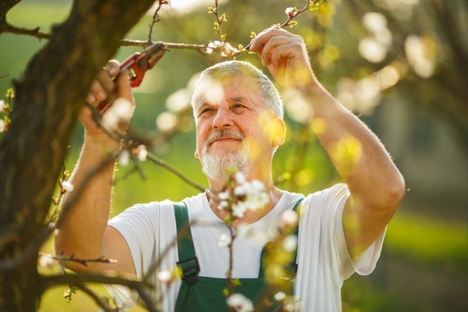 experienced gardeners