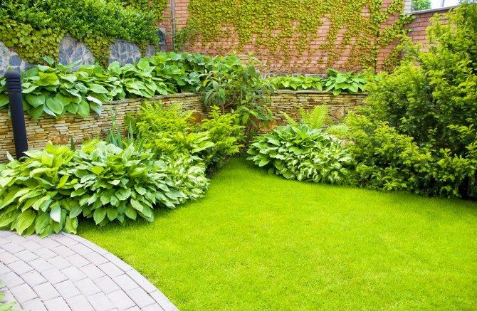 garden landscaping