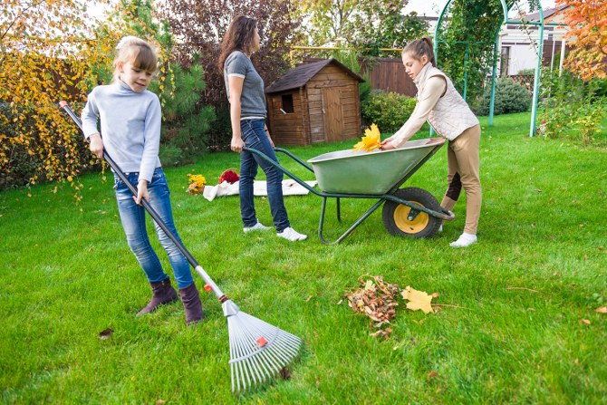 garden clearance