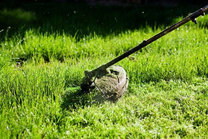 lawn mowing