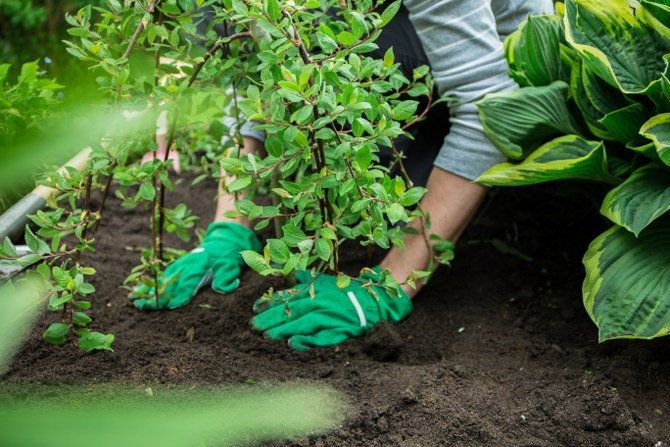 gardening company