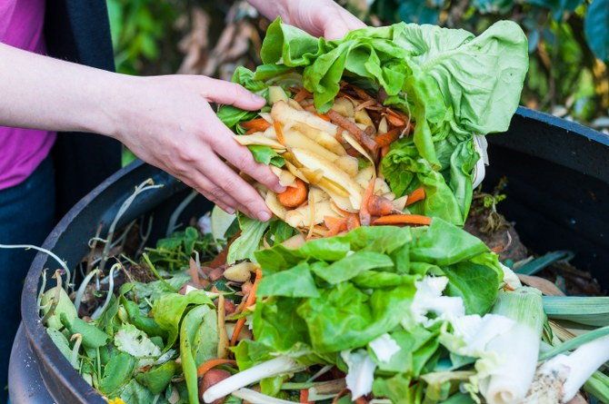 green waste recycling