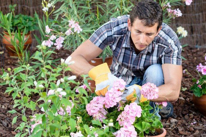 professional gardeners