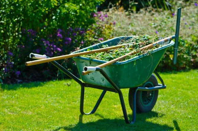 garden waste removal