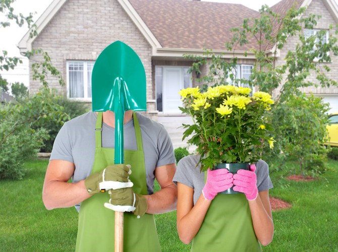 gardening therapy