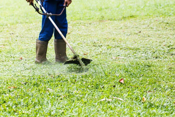 scheduled garden maintenance