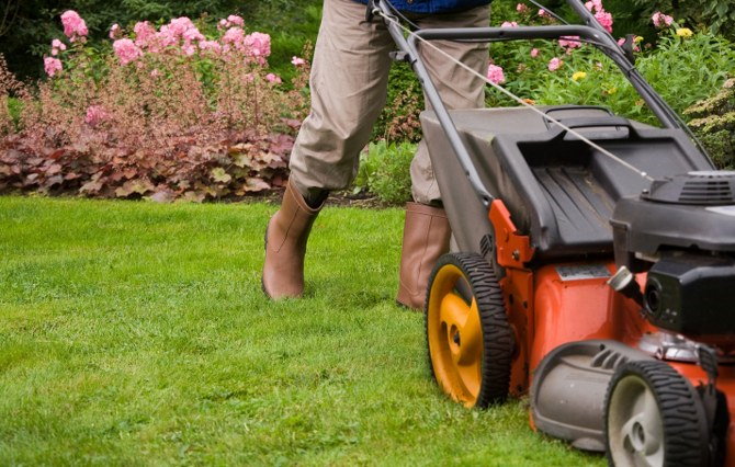 grass cutting