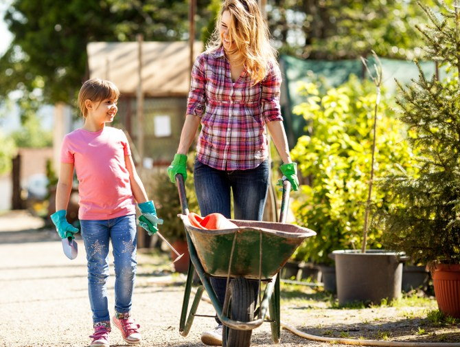 garden clearance