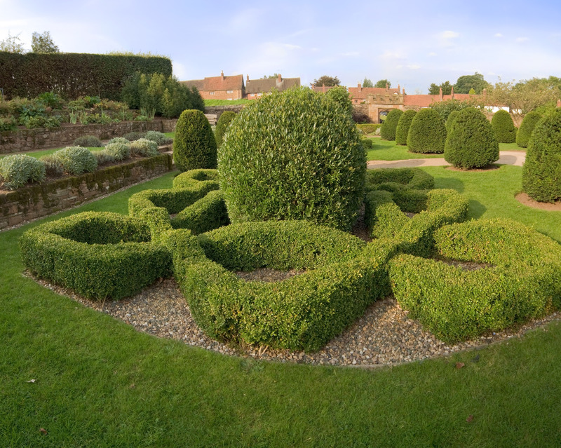 Hedge trimming garden