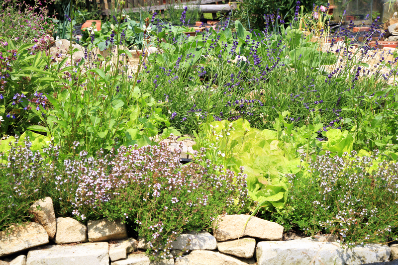 garden Planting