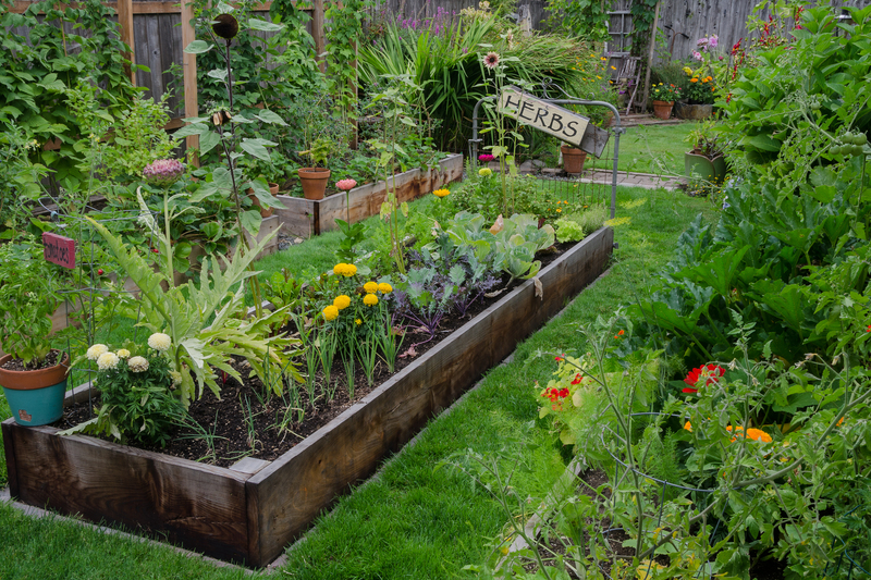 garden plants