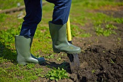 Colyers planting hedges DA7