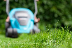 effortless garden makeover London Fields