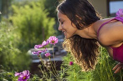 effortless garden makeover Colney Hatch