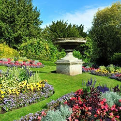 Primrose Hill planting hedges NW1