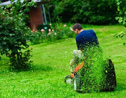 effortless garden makeover Barons Court