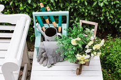 Barking roses planting and care IG11