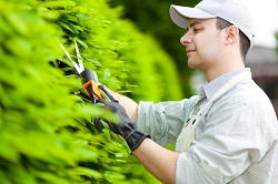 E16 hedge strimmers in Canning Town