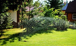 EC1 garden landscaping Finsbury