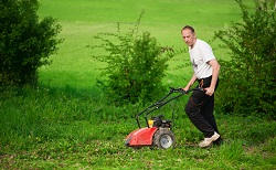 maintaining lawns