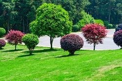 landscaping experts across Shepherds Bush