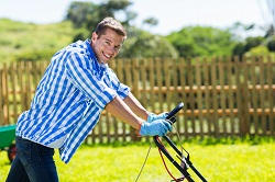 Stanmore shrubs and bushes removal HA7