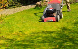 turning soil and weeding Waterloo