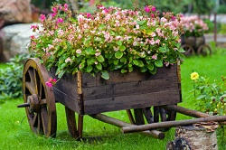 turning soil and weeding Woolwich